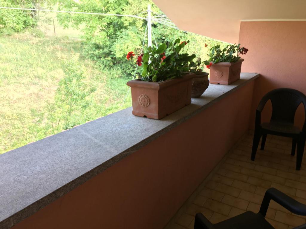 Balkón nebo terasa v ubytování Villa Anselma