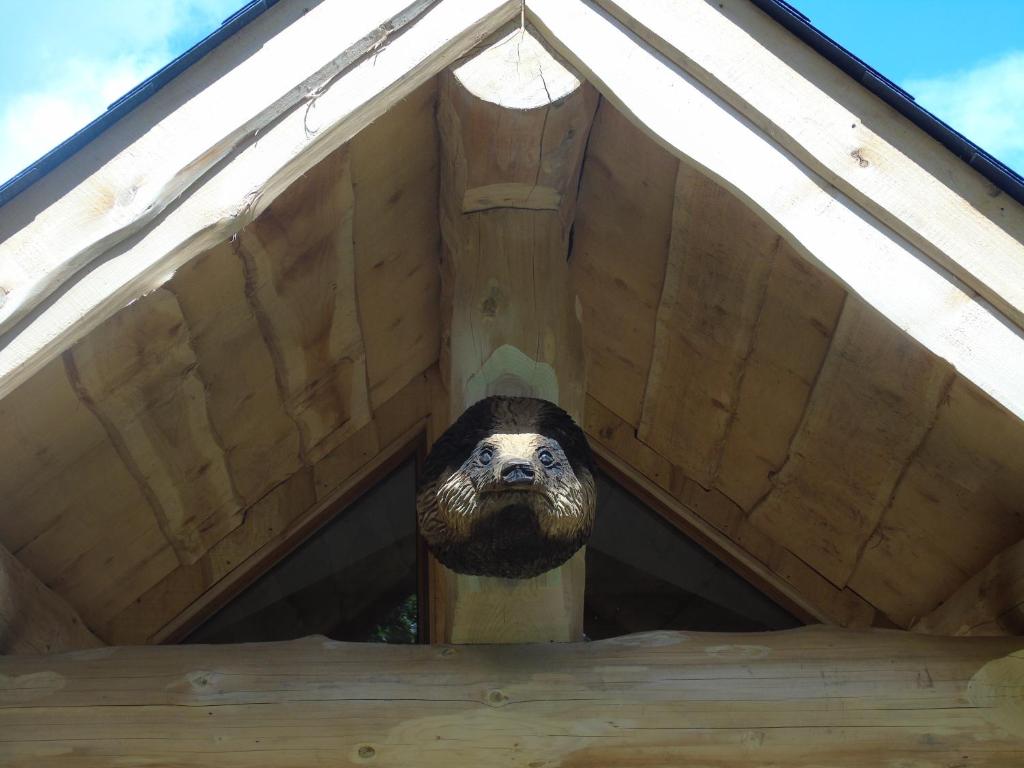 a dog sticking its head out of a roof at Badger's Wood at Hoo Farm in Telford