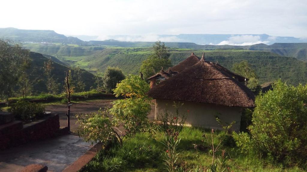 Old Abyssinia Lodge في لاليبيلا: منزل قديم بسقف من القش في حقل