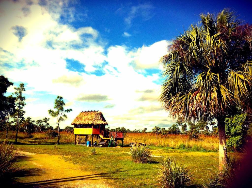 una palmera y una cabaña en un campo en Everglades Chickee Cottage & Bungalow - Ochopee, en Ochopee