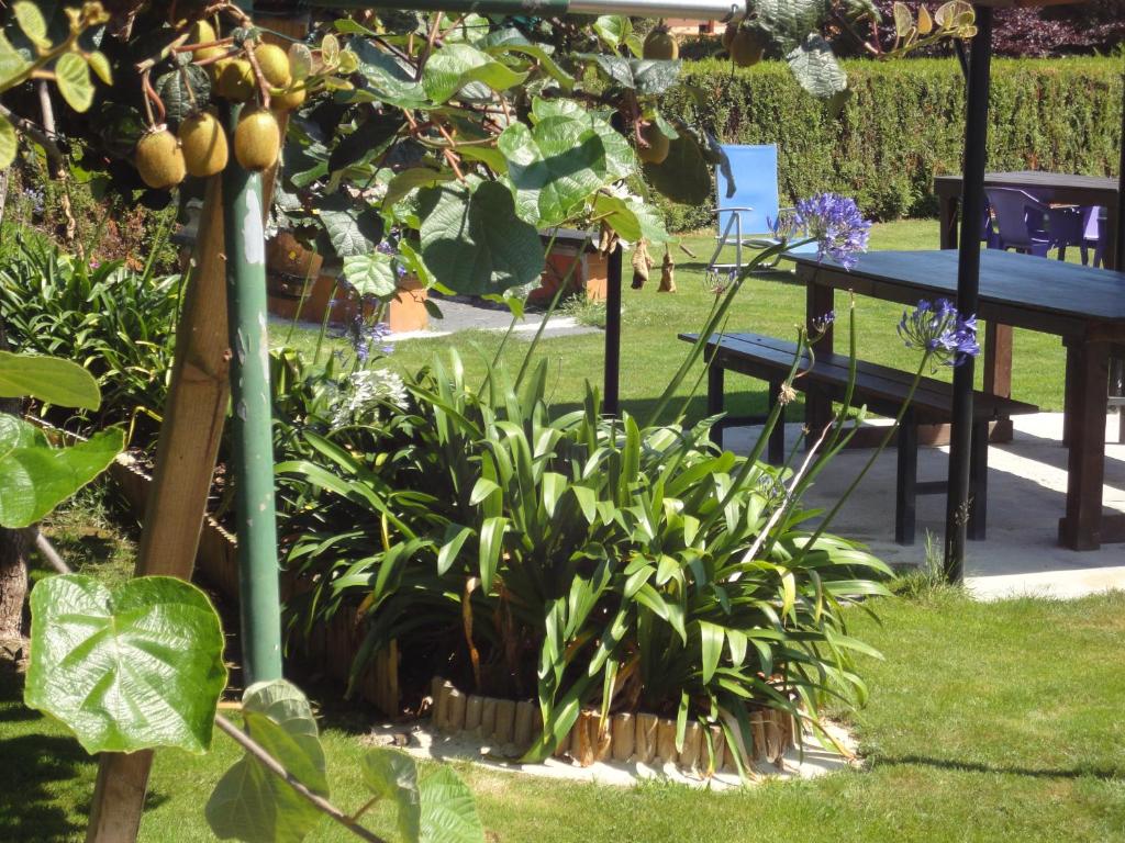 Zahrada ubytování Apartamentos Rurales Villa del Sain Cudillero