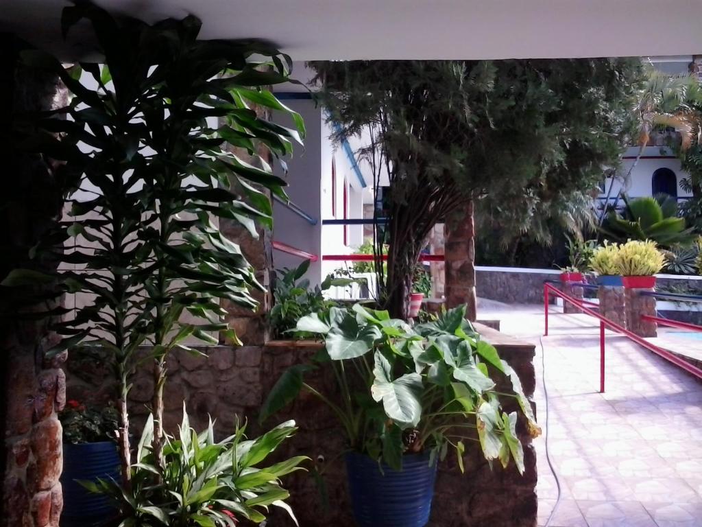  Otellin Triumph Hotel