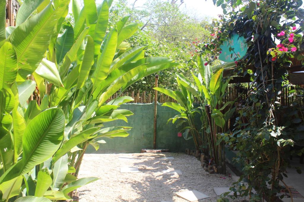  Bamboo Groove Hostel