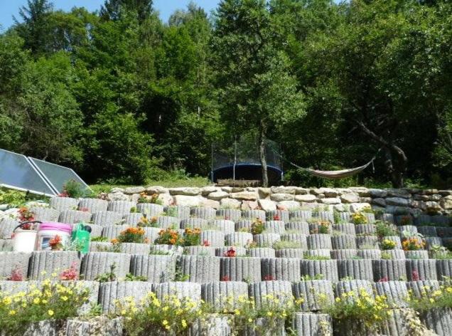 Willa Róż w Międzygórzu - 4