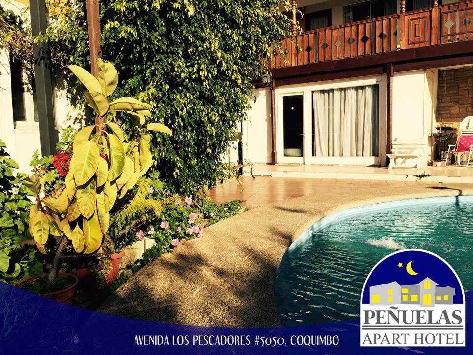 Une bande de bananes suspendues à une plante à côté d'une piscine dans l'établissement Apart Hotel Penuelas, à Coquimbo