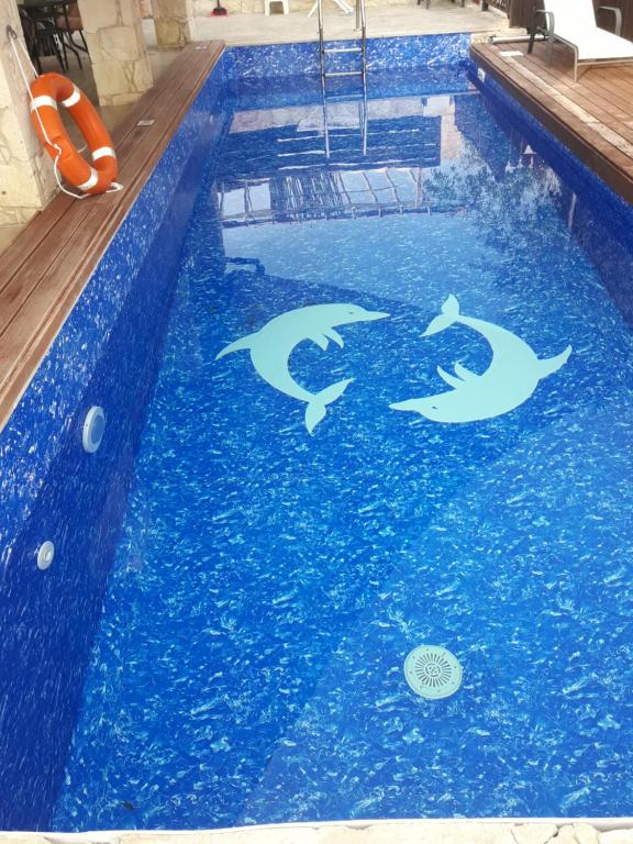 una piscina con tres delfines en el agua en V.I.P Villa, en Stroumbi