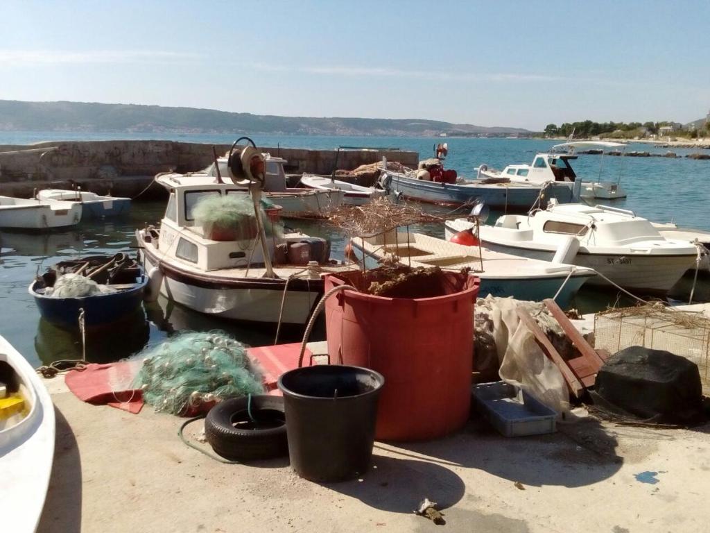 Príroda v okolí apartmánu