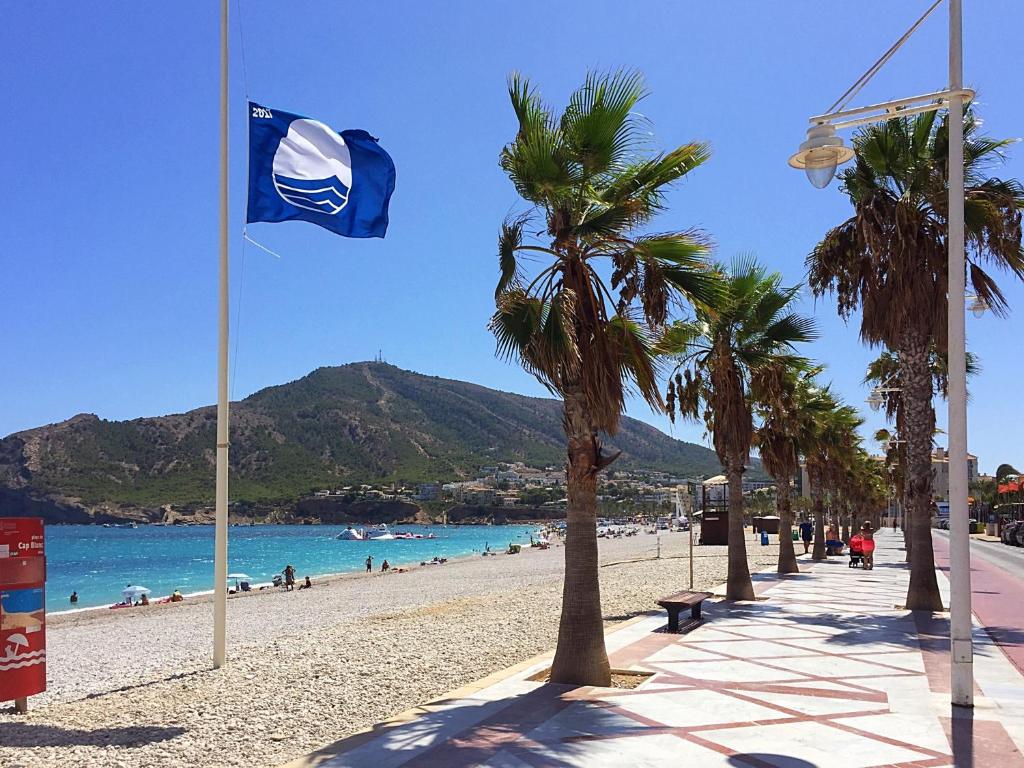 a beach with palm trees and a blue and white flag at Fin Albir Playa in Albir