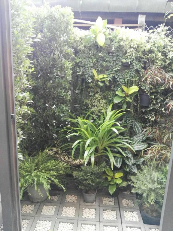 18 In Town Homestay - 18