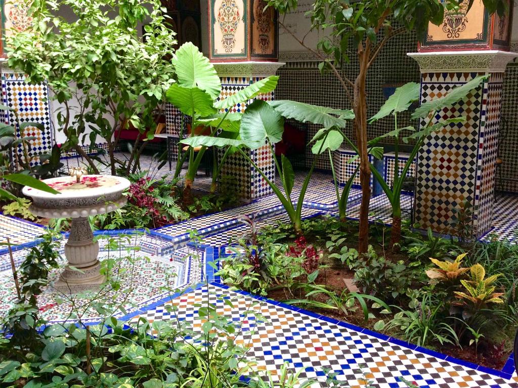 Zahrada ubytování Riad Toyour- Riad of birds