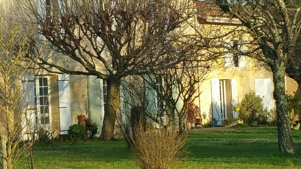 dom z drzewem przed nim w obiekcie Gîte entre Bordeaux et Saint-Emilion w mieście Génissac