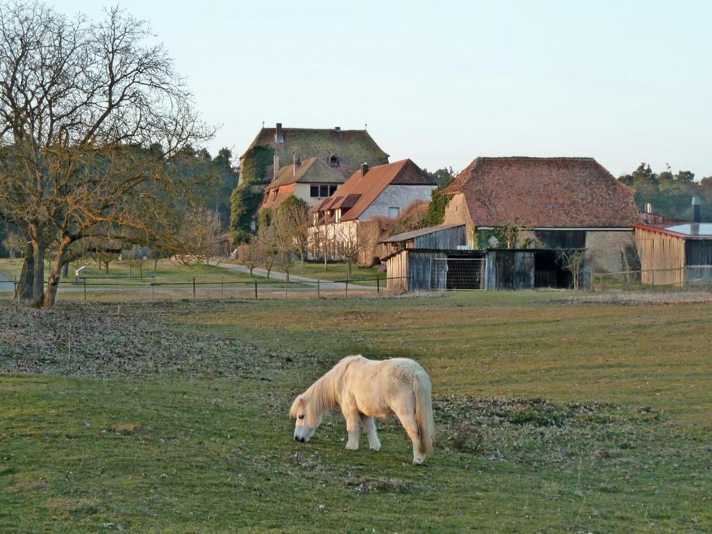 フォルカッハにあるElgersheimer Hofの草原の白馬放牧