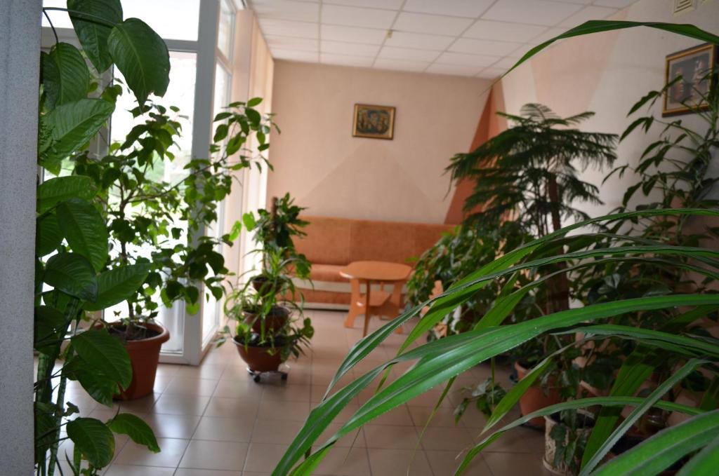 a living room filled with furniture and plants at Sfinks in Zaporozhye