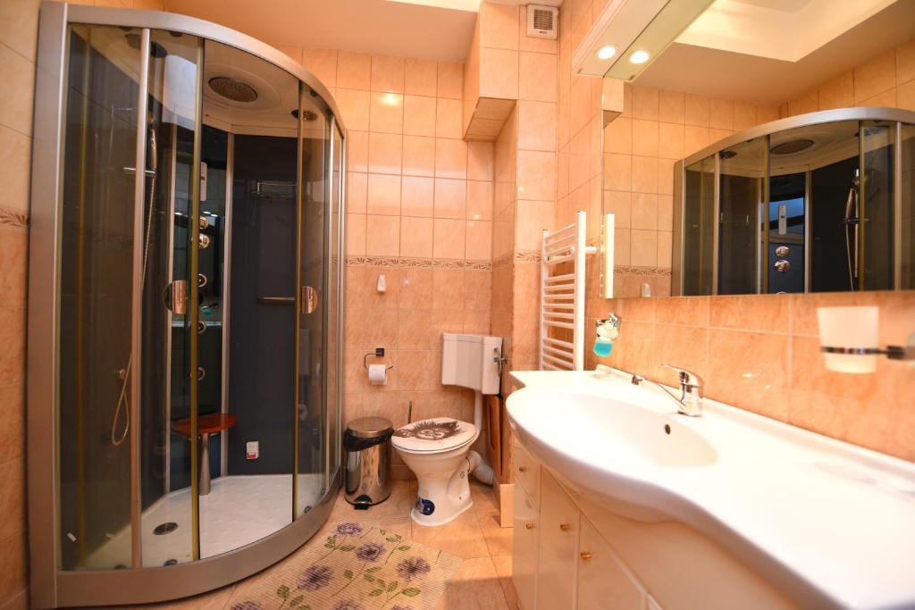a bathroom with a sink and a shower and a toilet at Apartament TRIDENT 2 in Haţeg