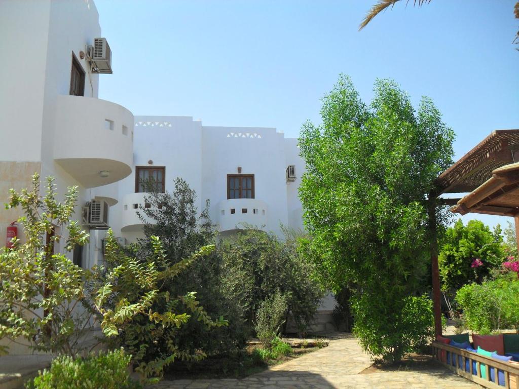 a courtyard of a building with trees and bushes at Alaska Camp & Hotel in Dahab