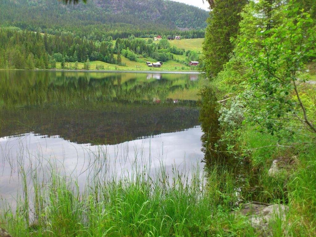 Leilighet i Åmotsdal - Apartamento De Una Habitación