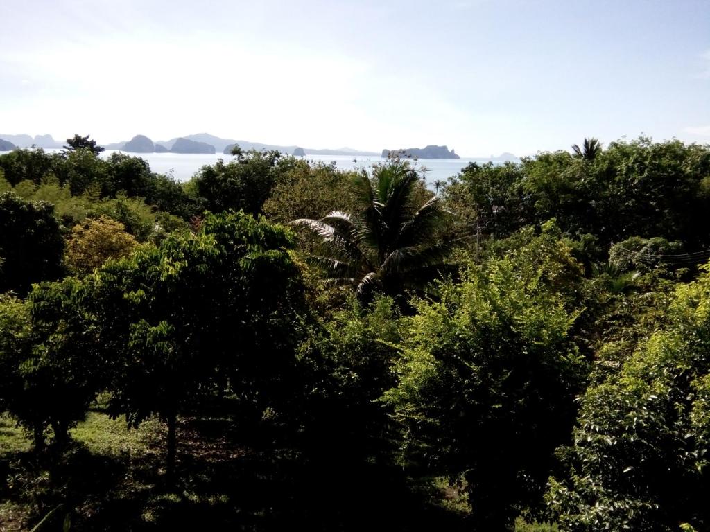 Tabeak View Point - 15