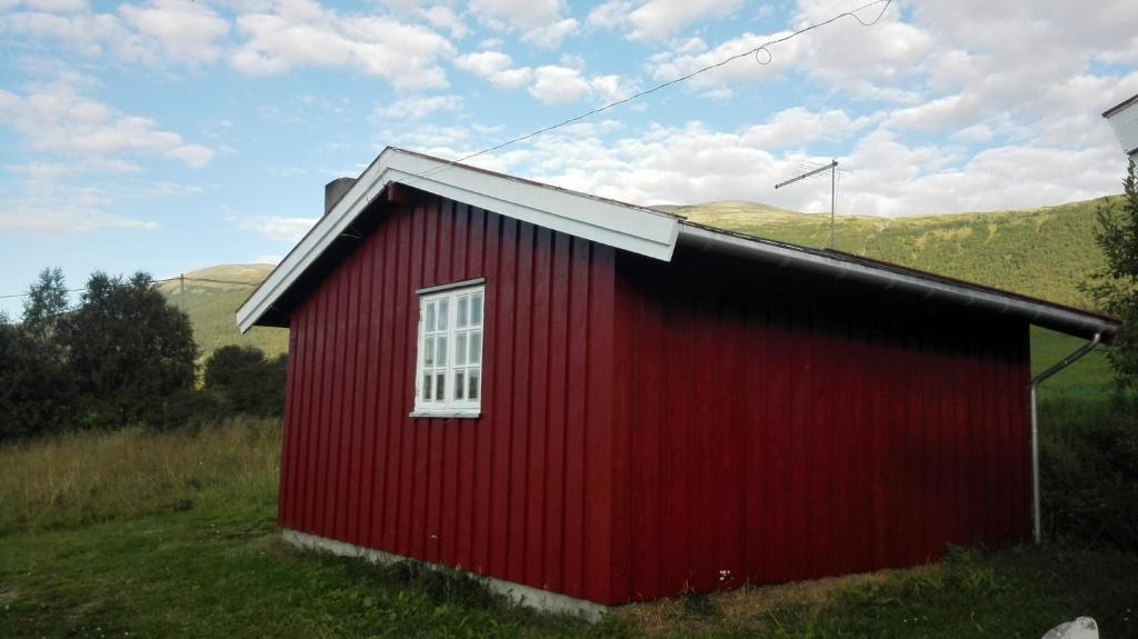 Příroda nedaleko penzionu