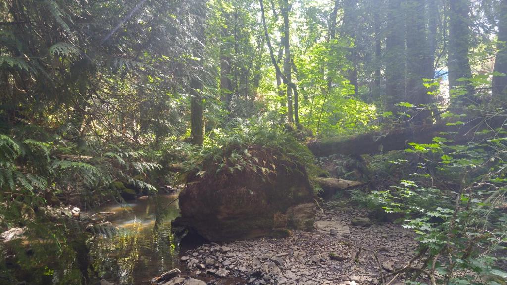 Scott Creek Farm - 