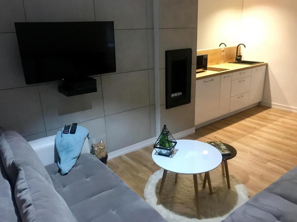 Televízia a/alebo spoločenská miestnosť v ubytovaní Apartament Mozart