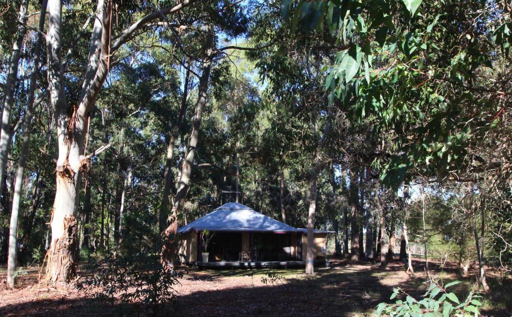 a tent in the middle of a forest with trees at Ellensbrook Cottages in Cowaramup