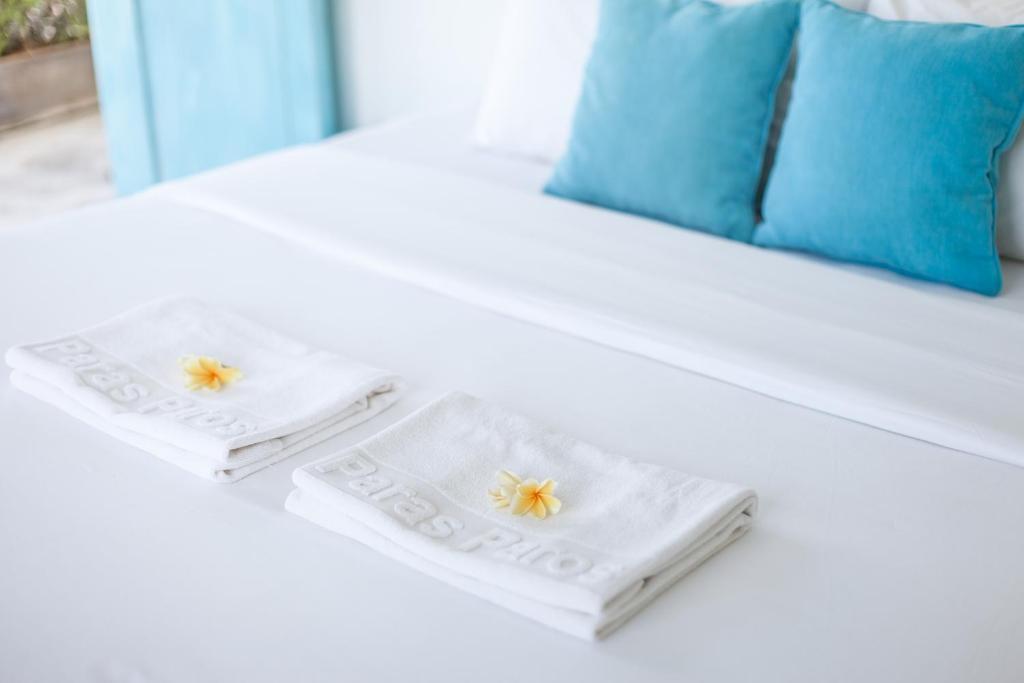 Paras Paros Marina Lodge - 豪华双人房