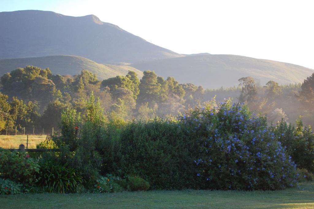 a field with bushes and mountains in the background at Four Fields Farm in The Crags