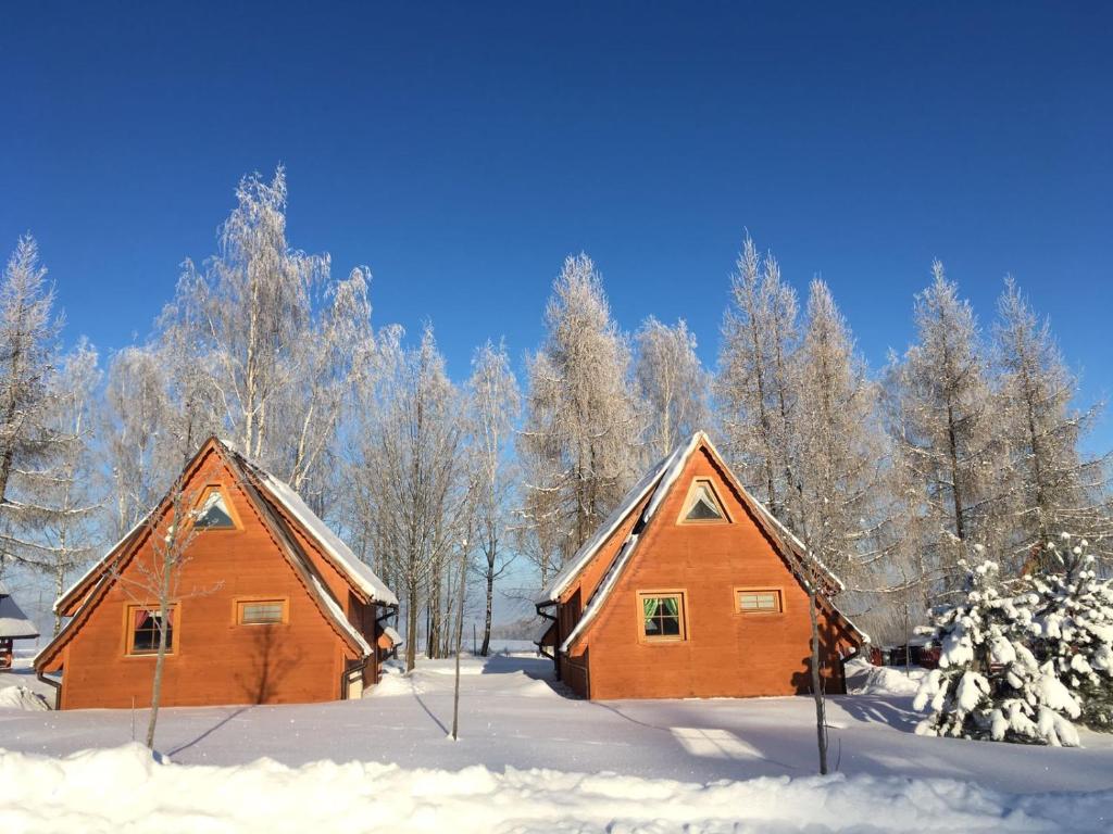 2 cabañas de madera con árboles en la nieve en Czocha Palace&amp;Czocha Camping - OR Czocha, en Leśna
