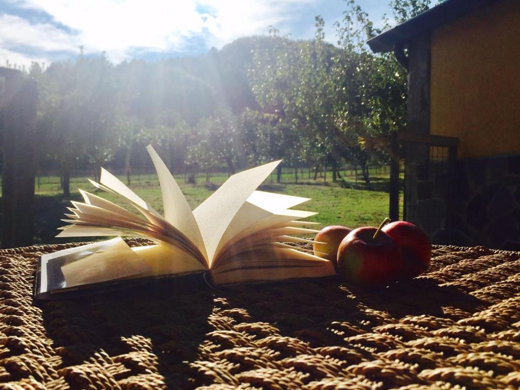 een open boek met een appel en een boek met een papieren vliegtuig bij Lo Chalet della Principessa in Mormanno