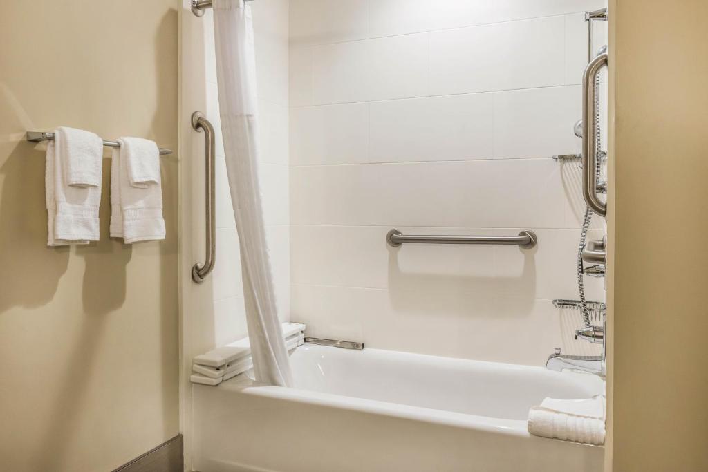 Comfort Suites Florence - Cincinnati South photo