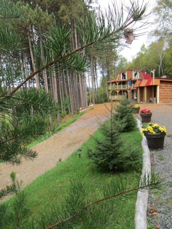 una casa en el bosque con árboles y plantas en La maison sous les arbres en Saint Roch de Mekinac