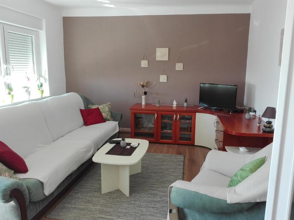 un soggiorno con divano bianco e TV di Fani a Fiume (Rijeka)
