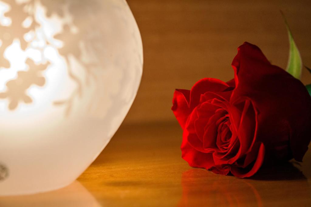 Hotel Villa Il Castagno - Resim 26