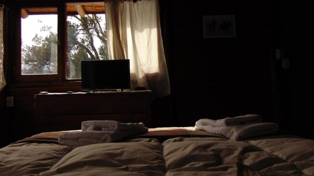 Criollo Lodge - Habitación Doble Con Baño Privado