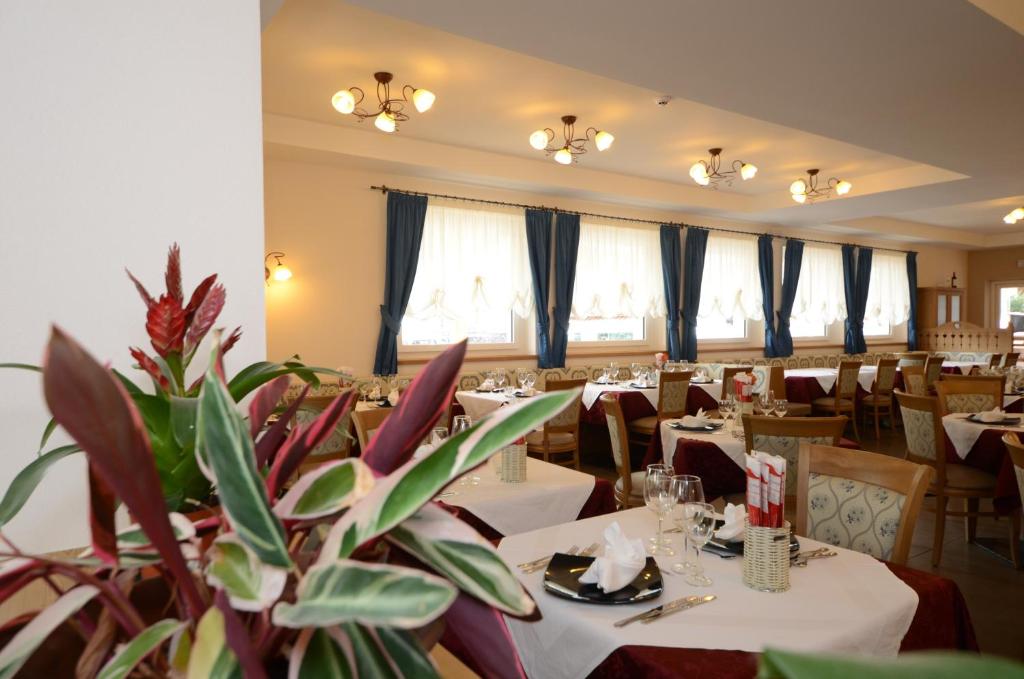 Restaurace v ubytování Park Hotel Avisio