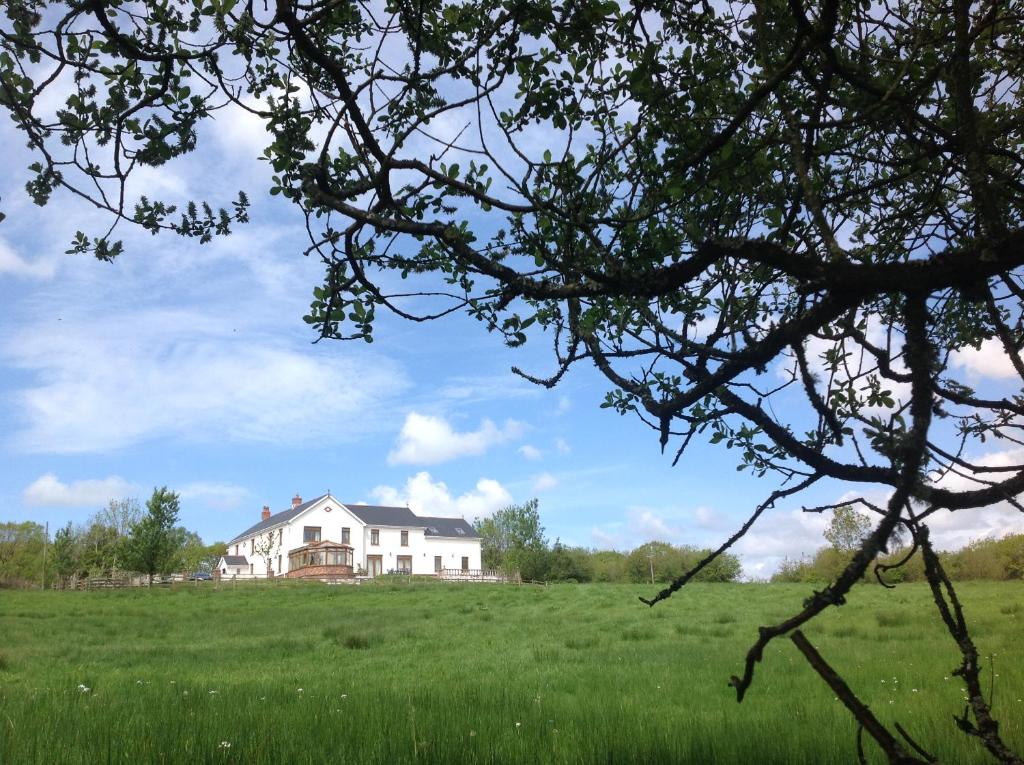 a large white house in a field of grass at Penddaulwyn Uchaf Farm # Carmarthenshire in Nantgaredig