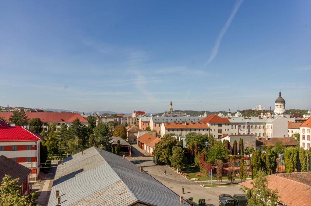 City Apartment Dorobantilor - 