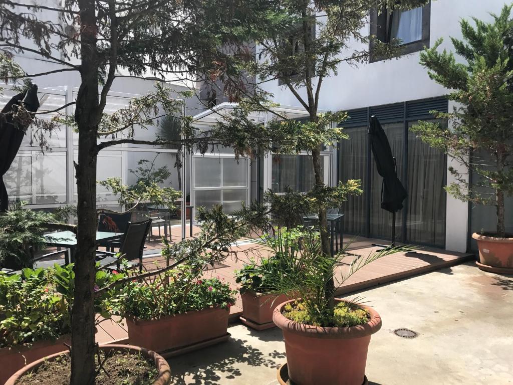 Zahrada ubytování Hotel Matriz