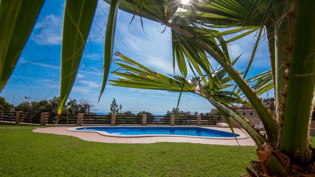 una palmera junto a una piscina en Villa Paradise Campello, en El Campello