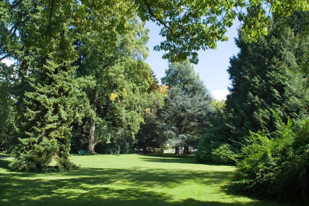 Zahrada ubytování Hotel Bad Schachen