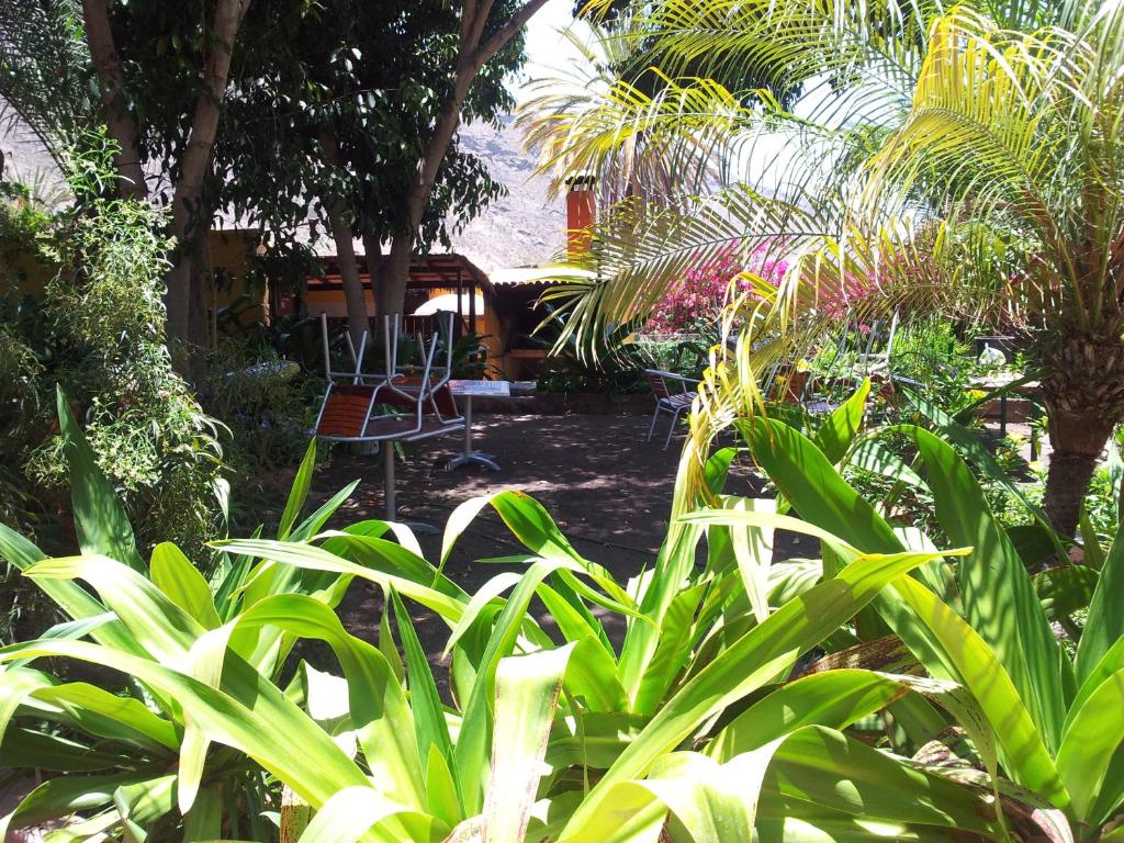 モガンにあるEl Jardinの椅子とヤシの木と植物のある庭園