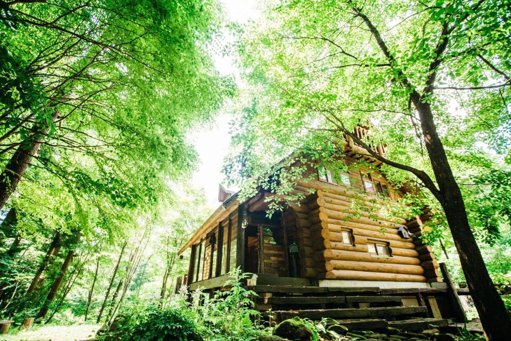 a log cabin in a forest with trees at SUNNSNOW Loghouse in Otari
