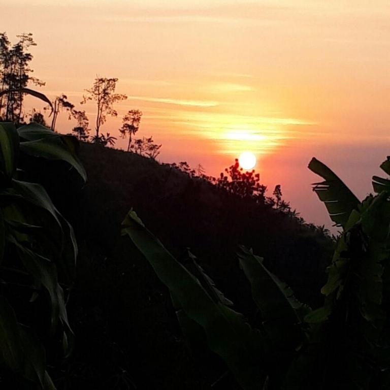 Paesaggio naturale nelle vicinanze della stanza in casa privata