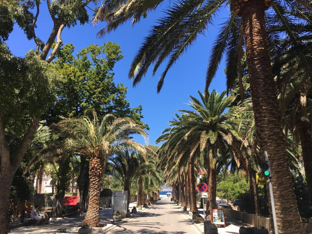 蘇提萬的住宿－Apartment Sveti Ivan，阳光明媚的日子里,一条棕榈树成行的街道