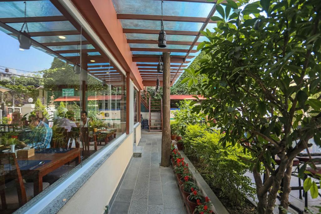 Zahrada ubytování Oasis Kathmandu Hotel