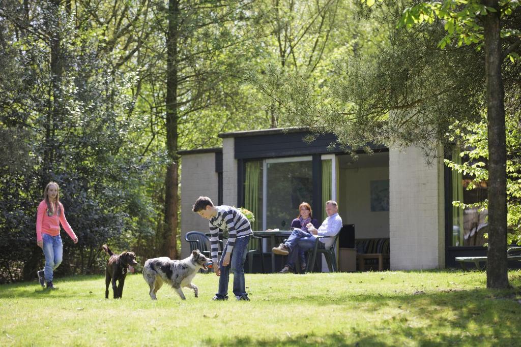 a group of people walking two dogs in a field at Center Parcs De Kempervennen Eindhoven in Westerhoven