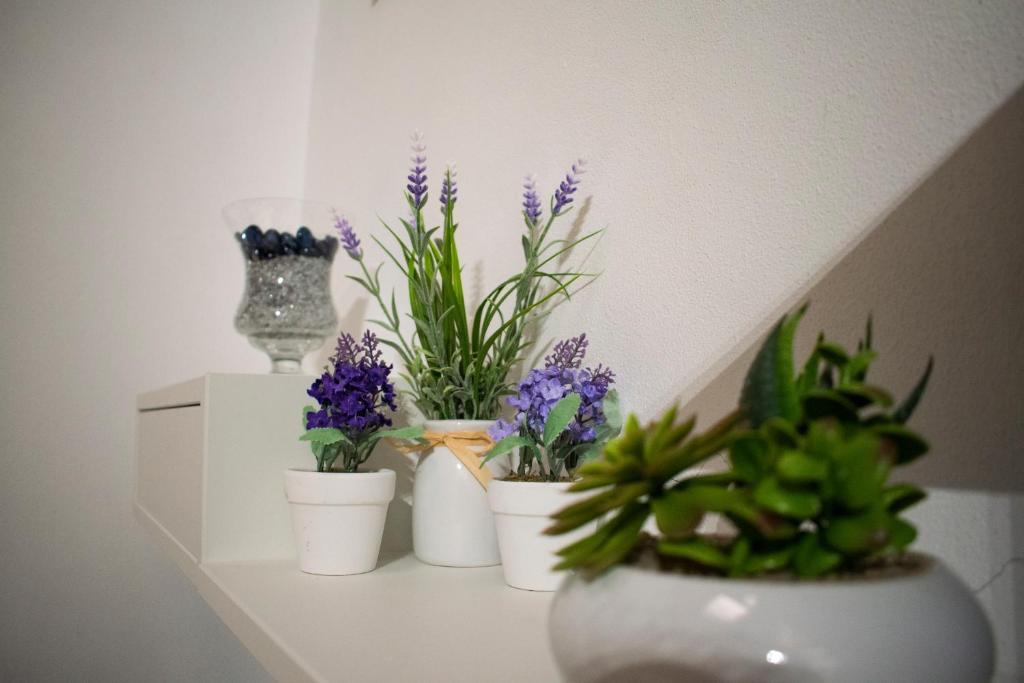 Fotografie z fotogalerie ubytování Le Vecchie Mura Apartment v destinaci Cannara