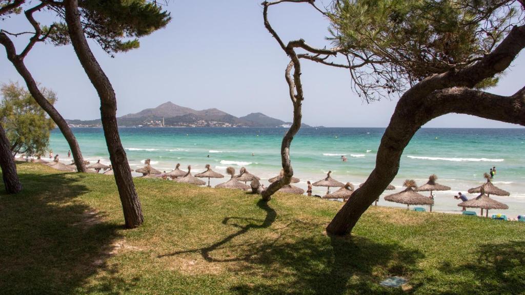Mar Hotels Playa de Muro Suites, Playa de Muro – Updated 2023 Prices
