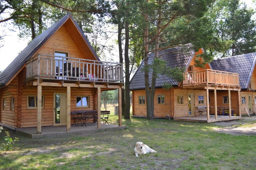 una cabaña de madera con un perro sentado frente a ella en Camping Szczecinek Domy Wypoczynkowe, en Szczecinek