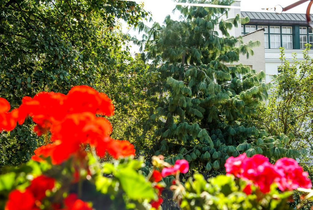 Vonkajšia záhrada v ubytovaní Apartment Ferk
